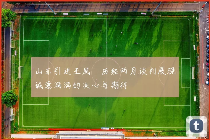 山东引进王岚嵚历经两月谈判展现诚意满满的决心与期待