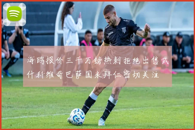 海鸥报价三千万镑热刺拒绝出售武什科维奇巴萨国米拜仁密切关注