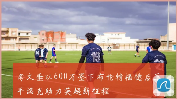 考文垂以600万签下布伦特福德后卫平诺克助力英超新征程